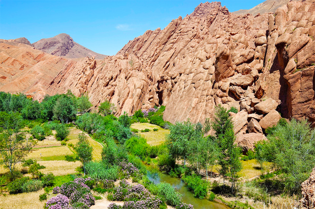 valle de las Rosas