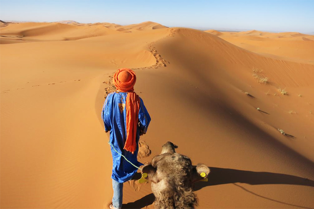 tours en camellos